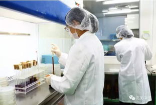 完美構(gòu)筑嚴謹?shù)漠a(chǎn)品售后質(zhì)量管理體系在互聯(lián)網(wǎng)銷售中的應(yīng)用